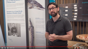 Pre-History video link