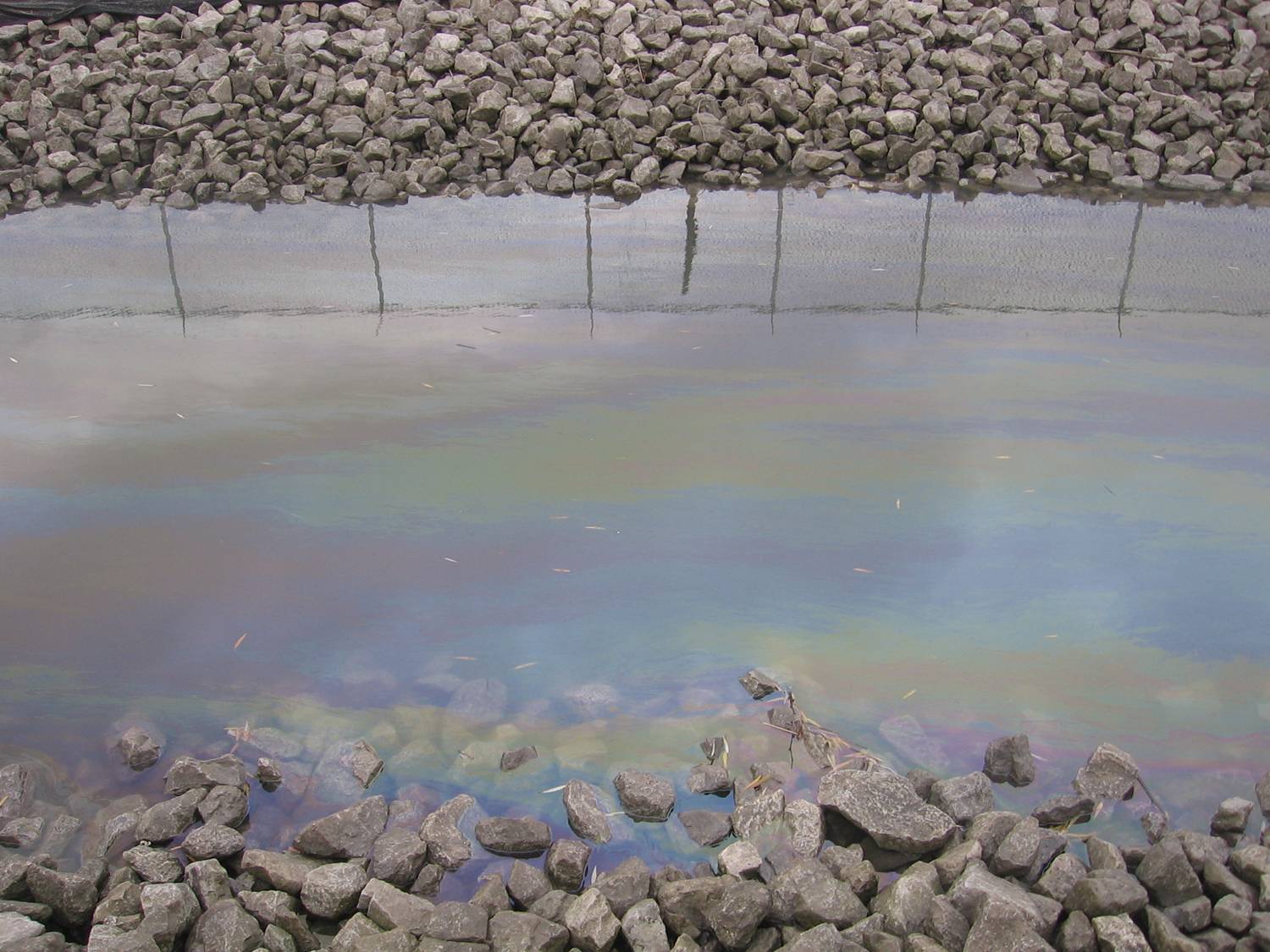 Drain contaminated with oil