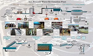Lou Romano Plant Process Flow Diagram