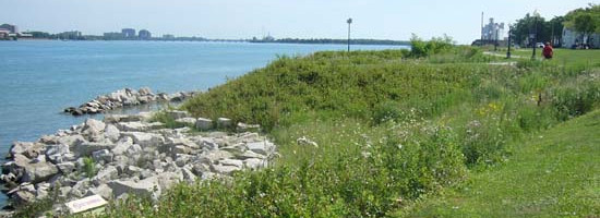 Riverfront wildflower garden