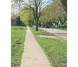 Sidewalk in a residential area