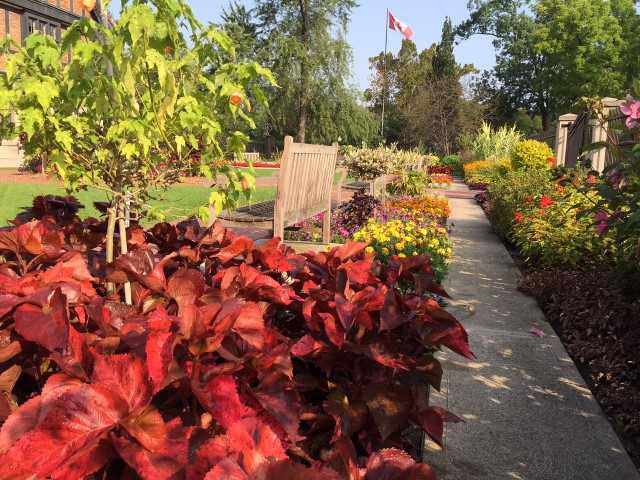 The Right Honourable Paul Martin Gardens