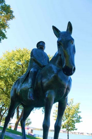 Business Man on a Horse - William McElcheran