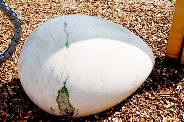 Chicken And Egg - Morton Katz