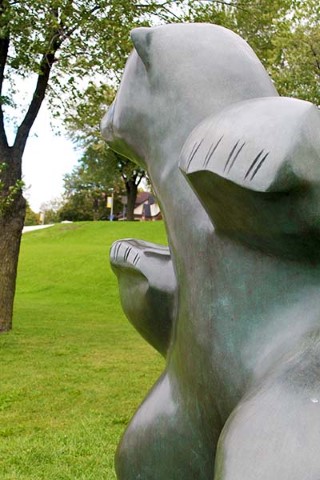 Dancing Bear - Pauta Saila