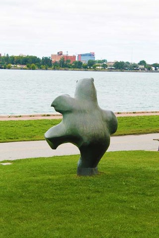 Dancing Bear - Pauta Saila