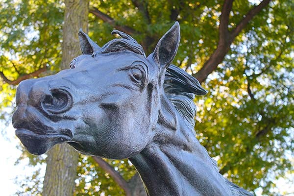 Racing Horses - Derrick Stephan Hudson Racing Horses - Derrick Stephan Hudson