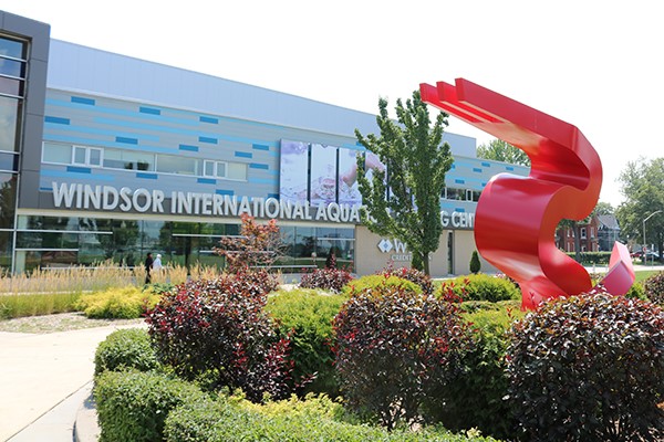 Ribbon of Friendship - Xiaofeng Yin