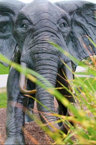 Tembo - Derrick Stephan Hudson