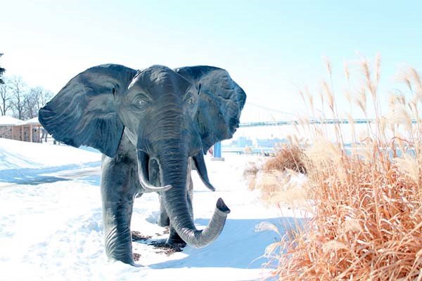 Tembo - Derrick Stephan Hudson