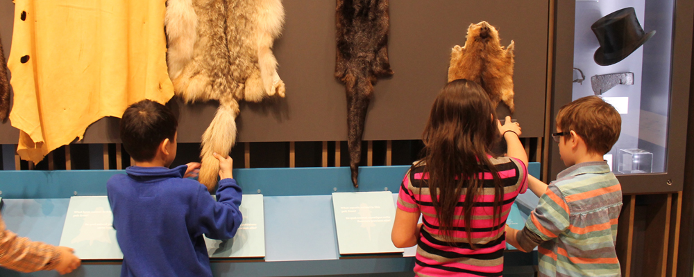 Kids exploring fur samples