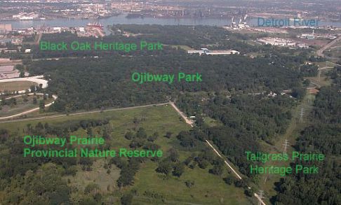 Ojibway Prairie Complex aerial photo by Linda Tucker