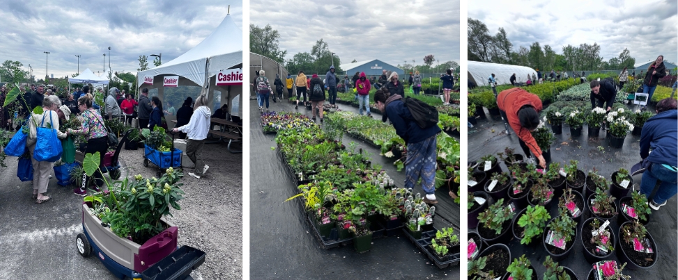 Annual Paul Martin Perennial Plant Sale Yard Annual Paul Martin Perennial Plant Sale yard