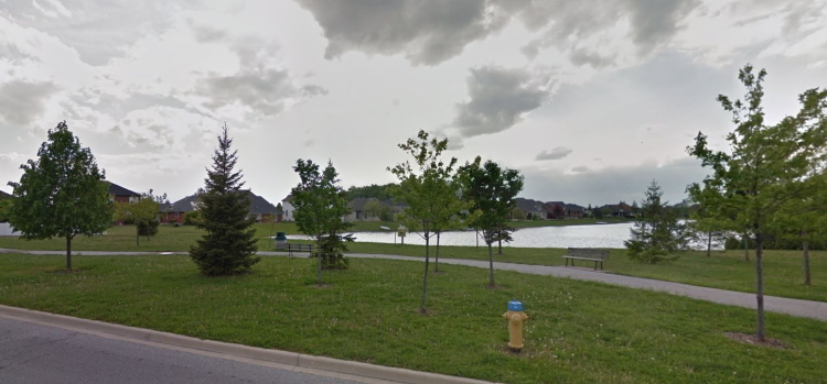 Description of Image