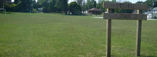 Description of Image