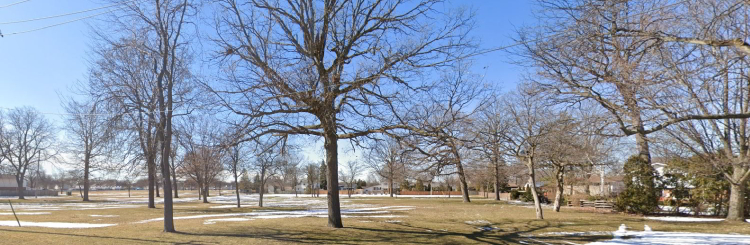 Description of Image